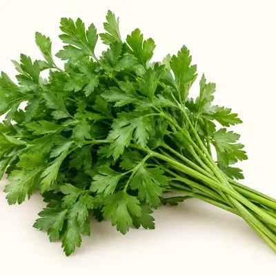 Parsley