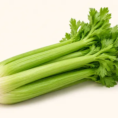 Celery