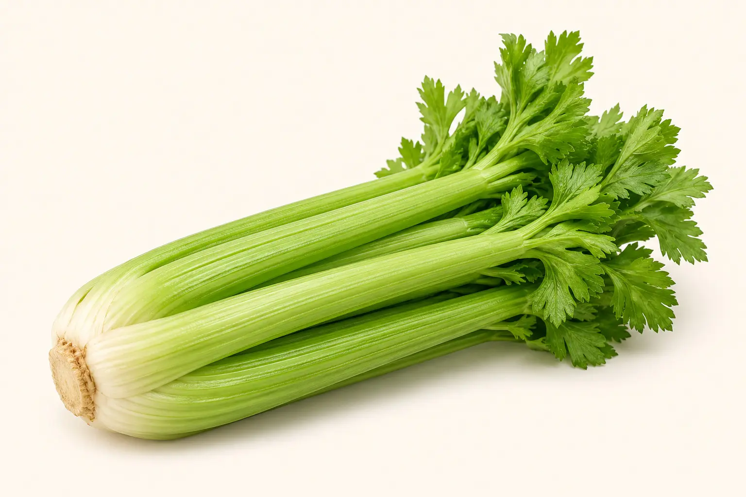 Celery