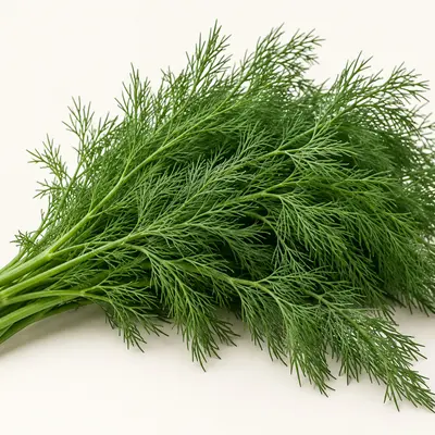 Dill