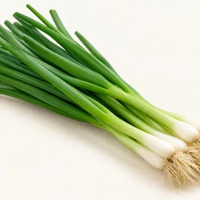 Spring Onion