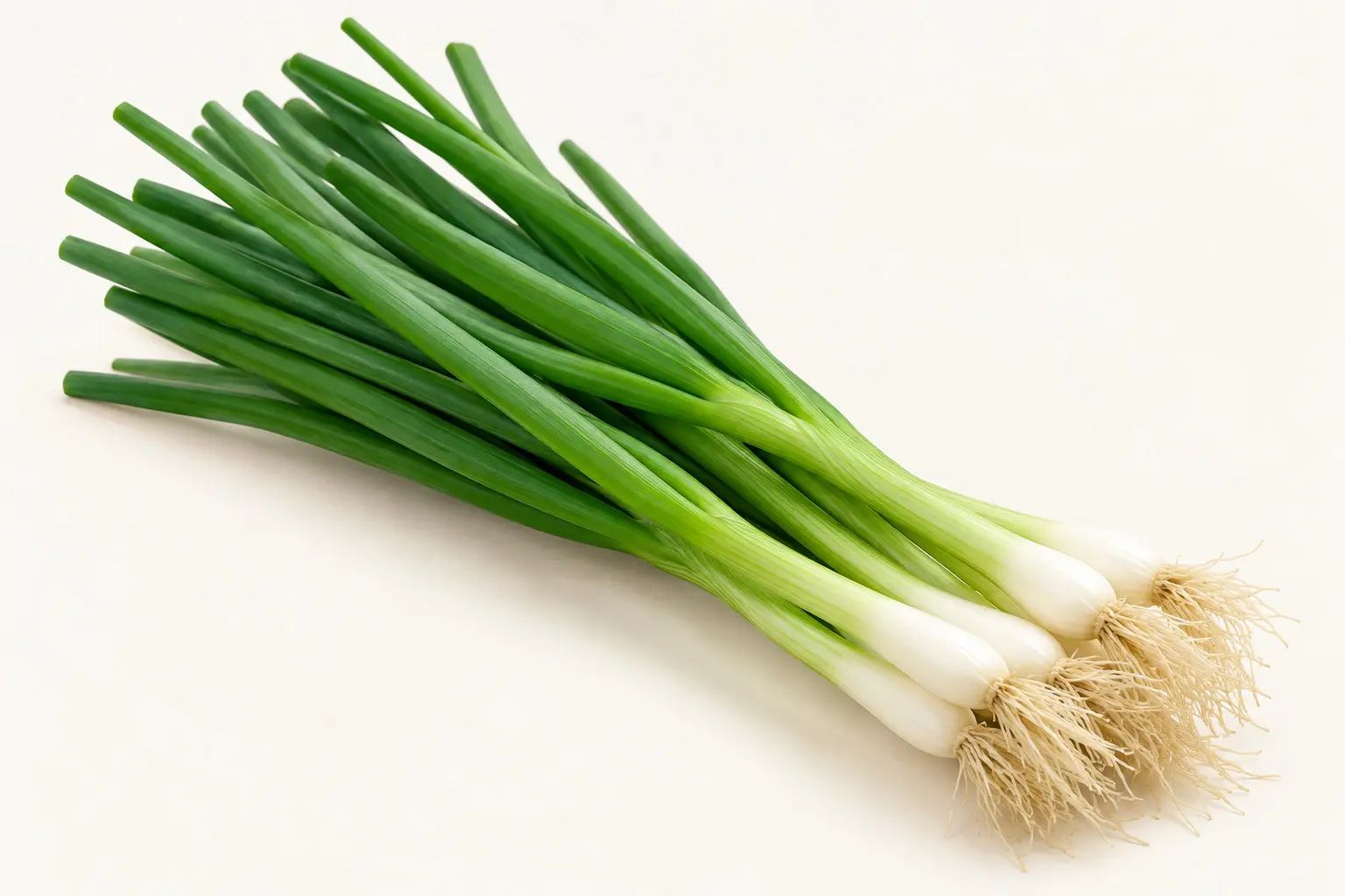 Spring Onion