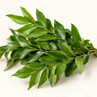Curry Leaves
