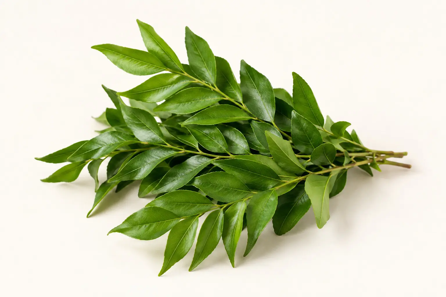 Curry Leaves